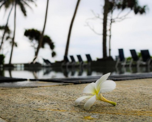 Earl's Regent Negombo 4* — отель в Негомбо, Шри-Ланка