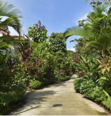 Rainforest Resort 3*