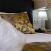 Ozgur City Residence 4* — апартаменты в центре Фетхие