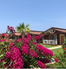 Sedir Park Bungalow Hotel 4*