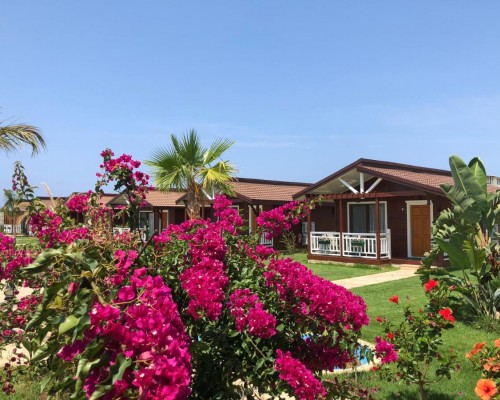 Sedir Park Bungalow Hotel 4* (Аланья): честный обзор от турагента