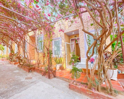 Mui Ne Sunlight Villa — отель в Муйне, Вьетнам