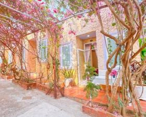 Mui Ne Sunlight Villa — отель в Муйне, Вьетнам