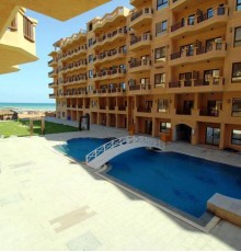 SeaView Turtles 3* SeaView Turtles 3*