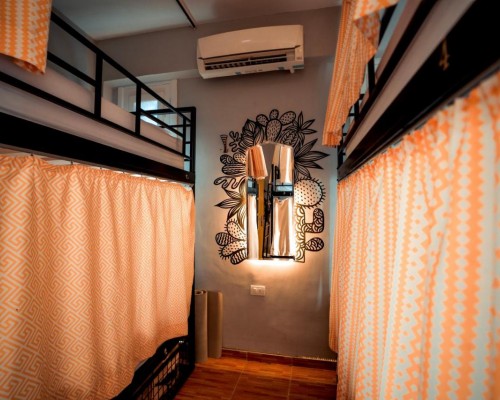 Rafiki Hostel Dahab — бюджетный хостел 2* в Дахабе