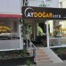 Aydogar Hotel 1* (Аланья): бюджетный отдых у моря