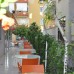 Aydogar Hotel 1* (Аланья): бюджетный отдых у моря