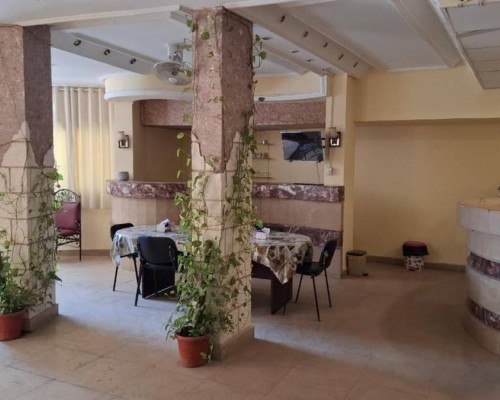 Canary Hotel 3* в Хургаде — что важно знать перед бронированием