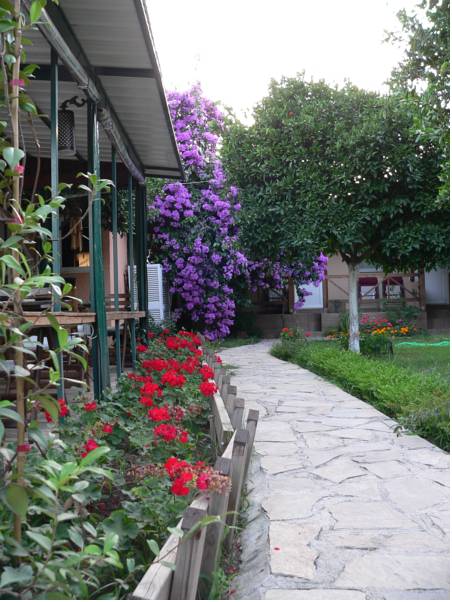 Chocolate Lodge Pension 