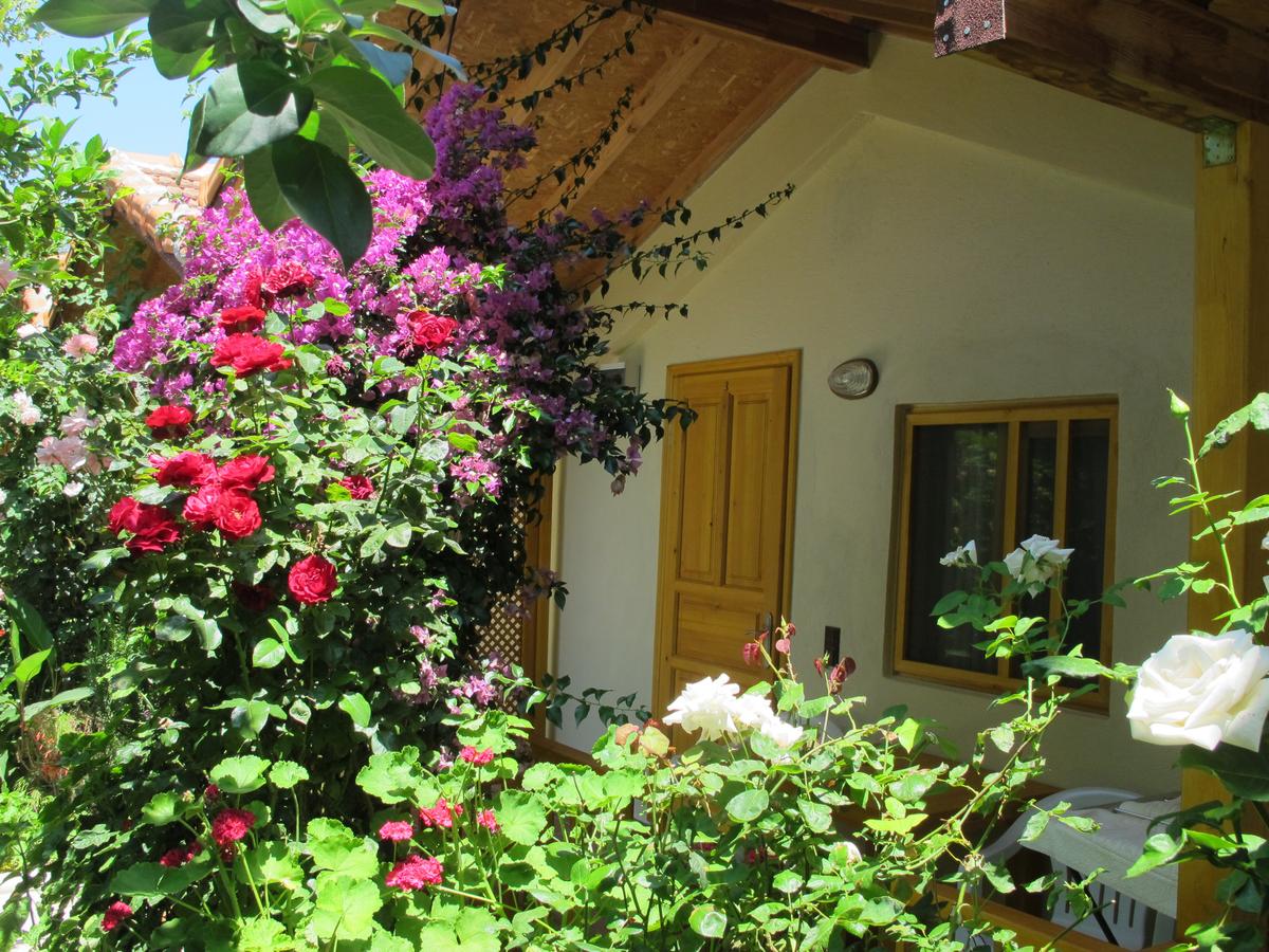 Blue Paradise Pension 
