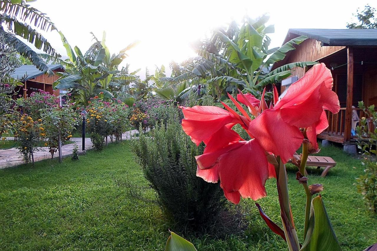 Estelar Hotel 