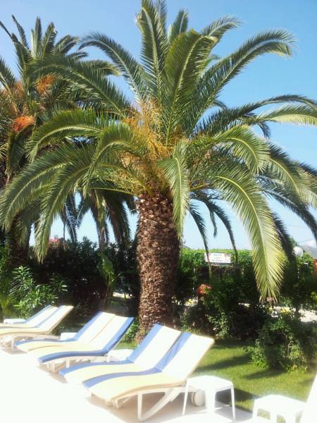 Palma-Rosa  3*
