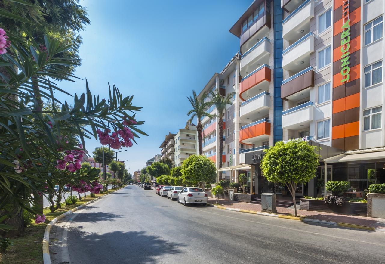 Lonicera City Kleopatra 3*