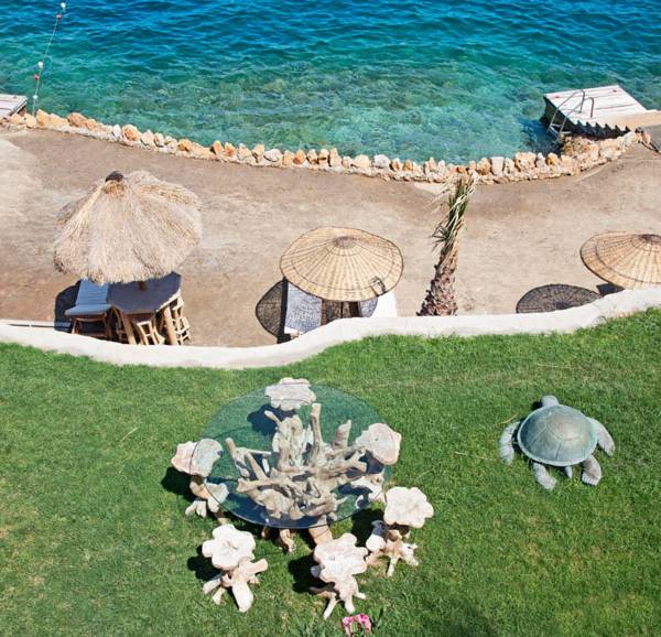 Detox Bay Bodrum 5*