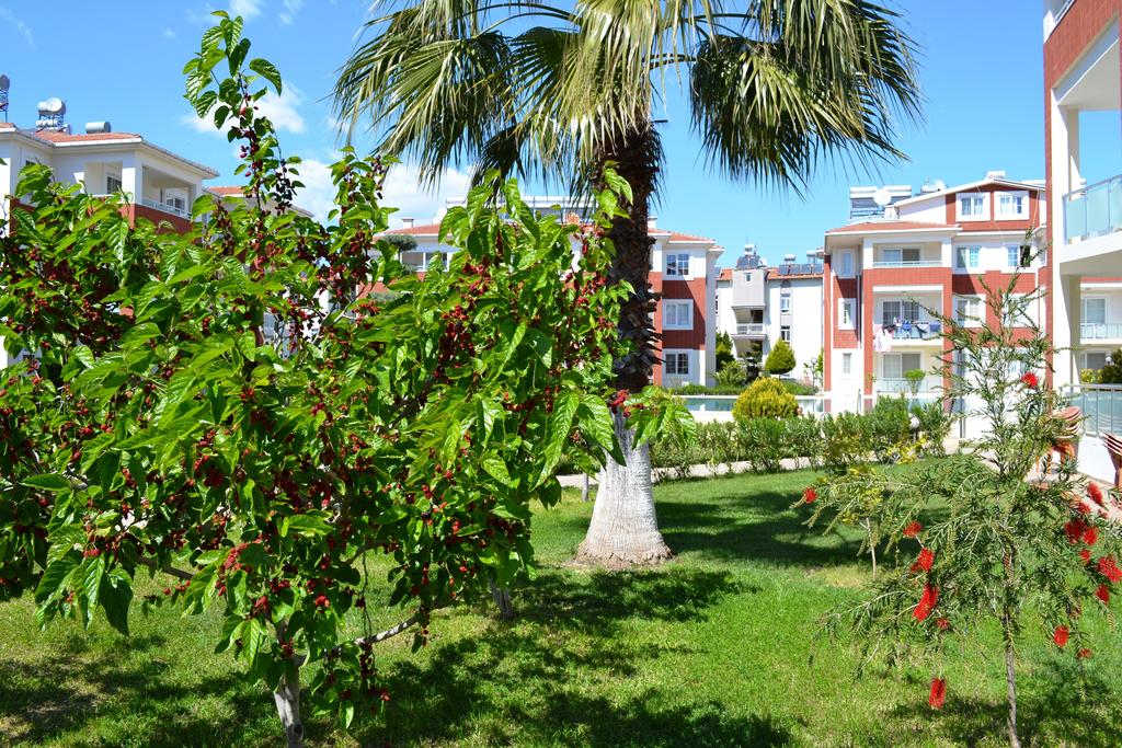 Apartment Belek 1