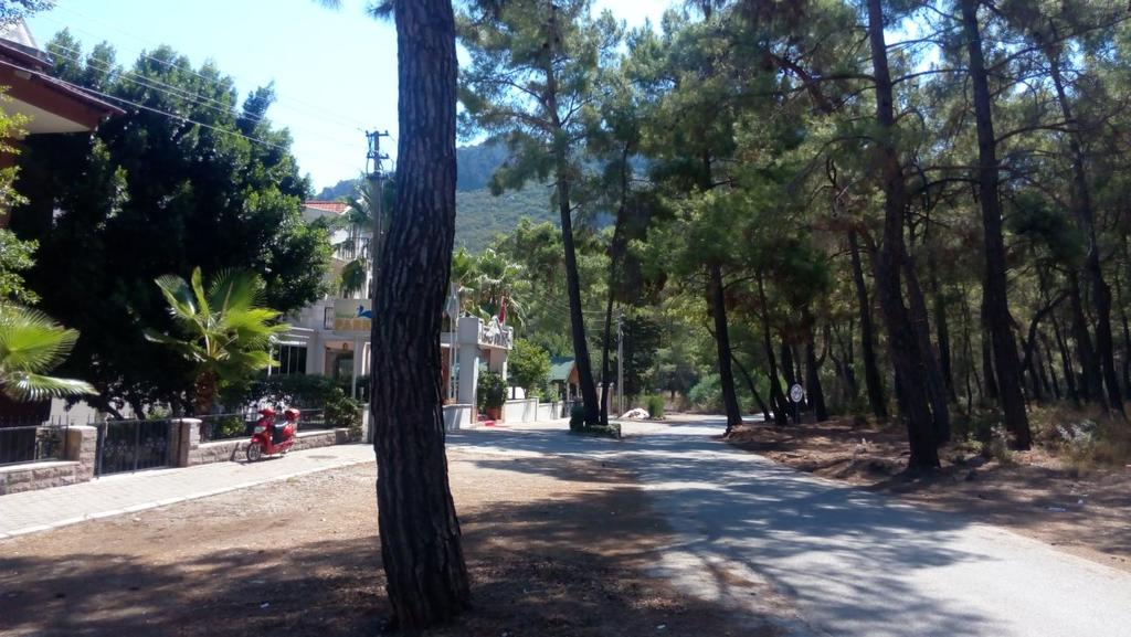 Apartment Forest Park near Beach