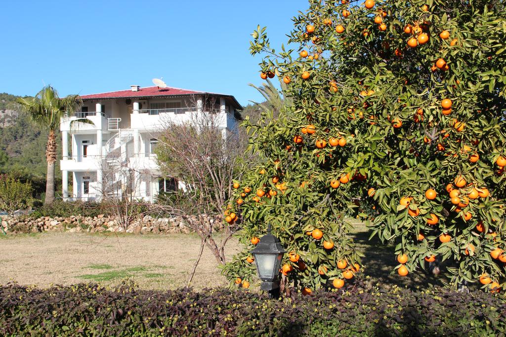 Green Garden Villa