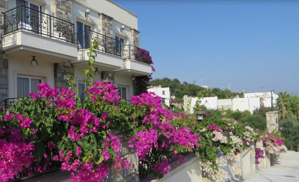 Gloria Tibi Gumbet