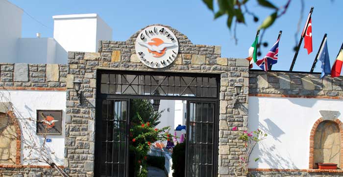 Arya Hotel 3*