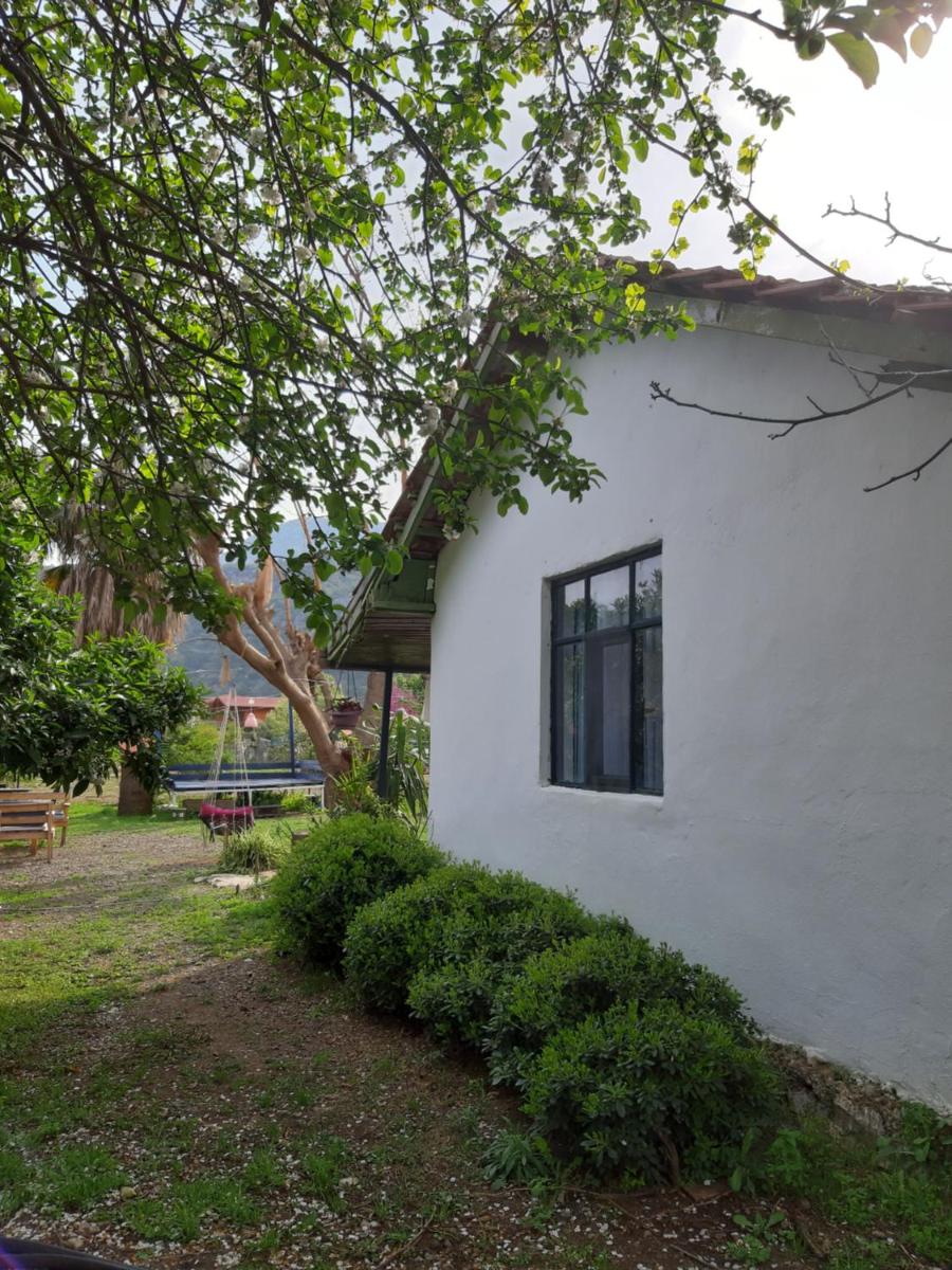 Cirali Friends Pension&Camping