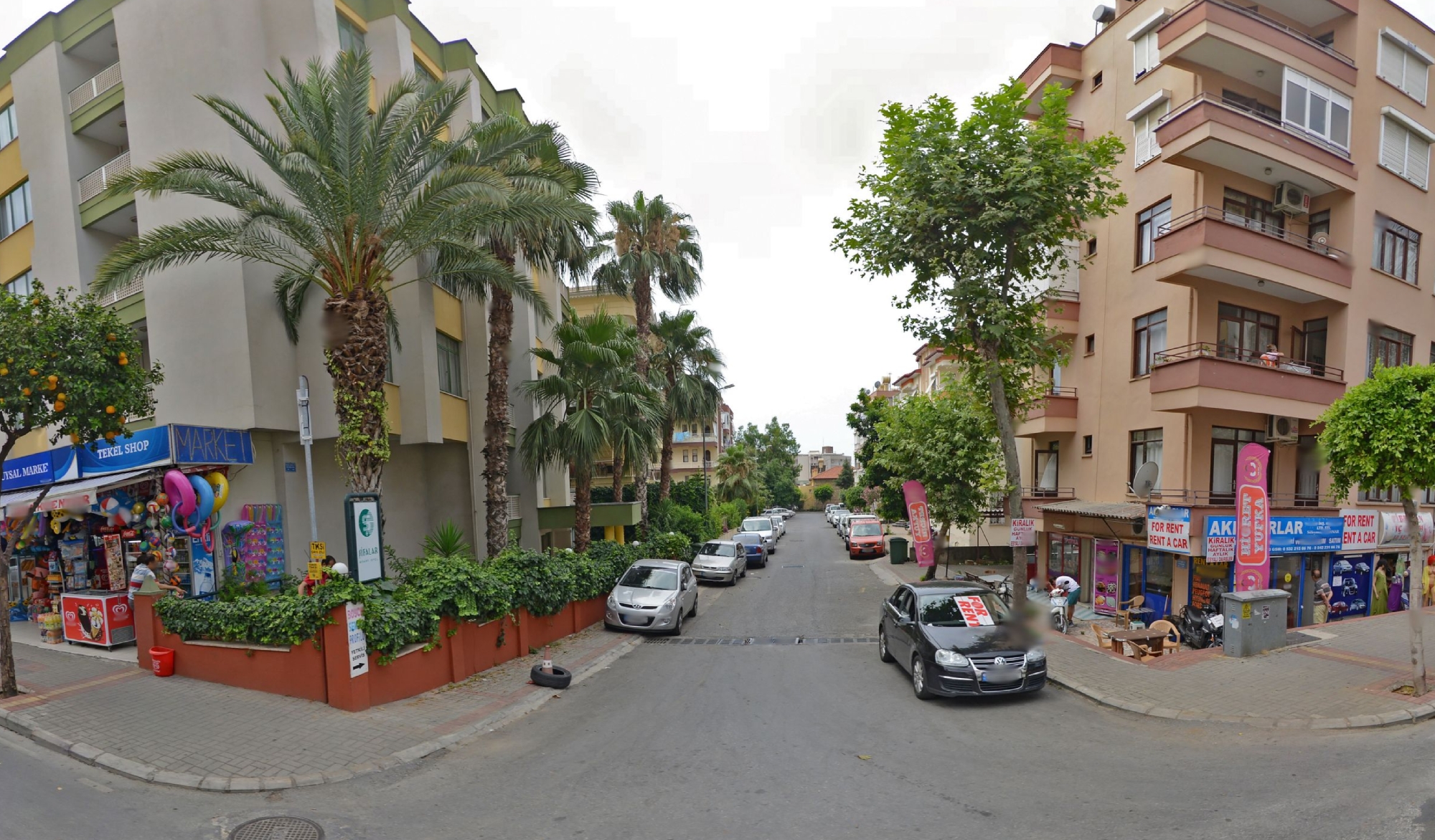 Koza 4*