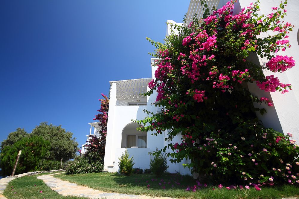 Vega Boutique & Aparts, Gumusluk 4*