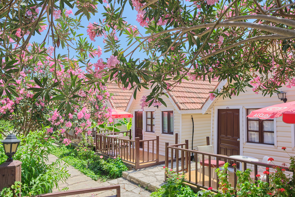 Clover Magic Nova Beach Hotel 3*