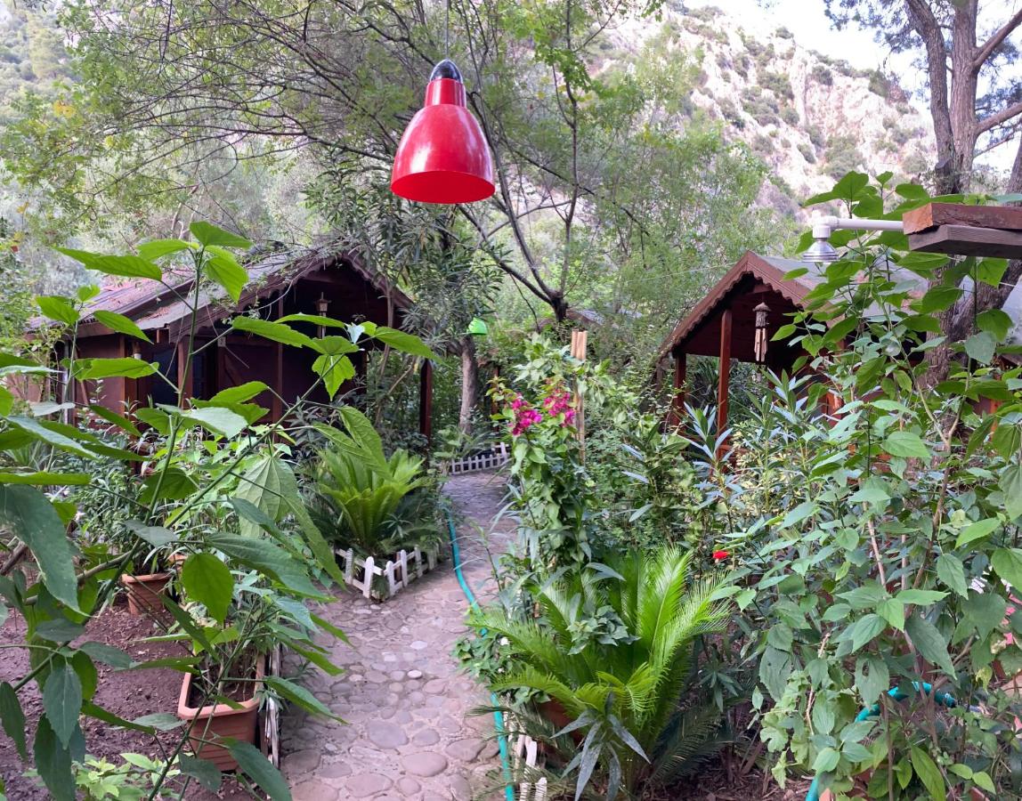 CanaRio Bungalow 3*
