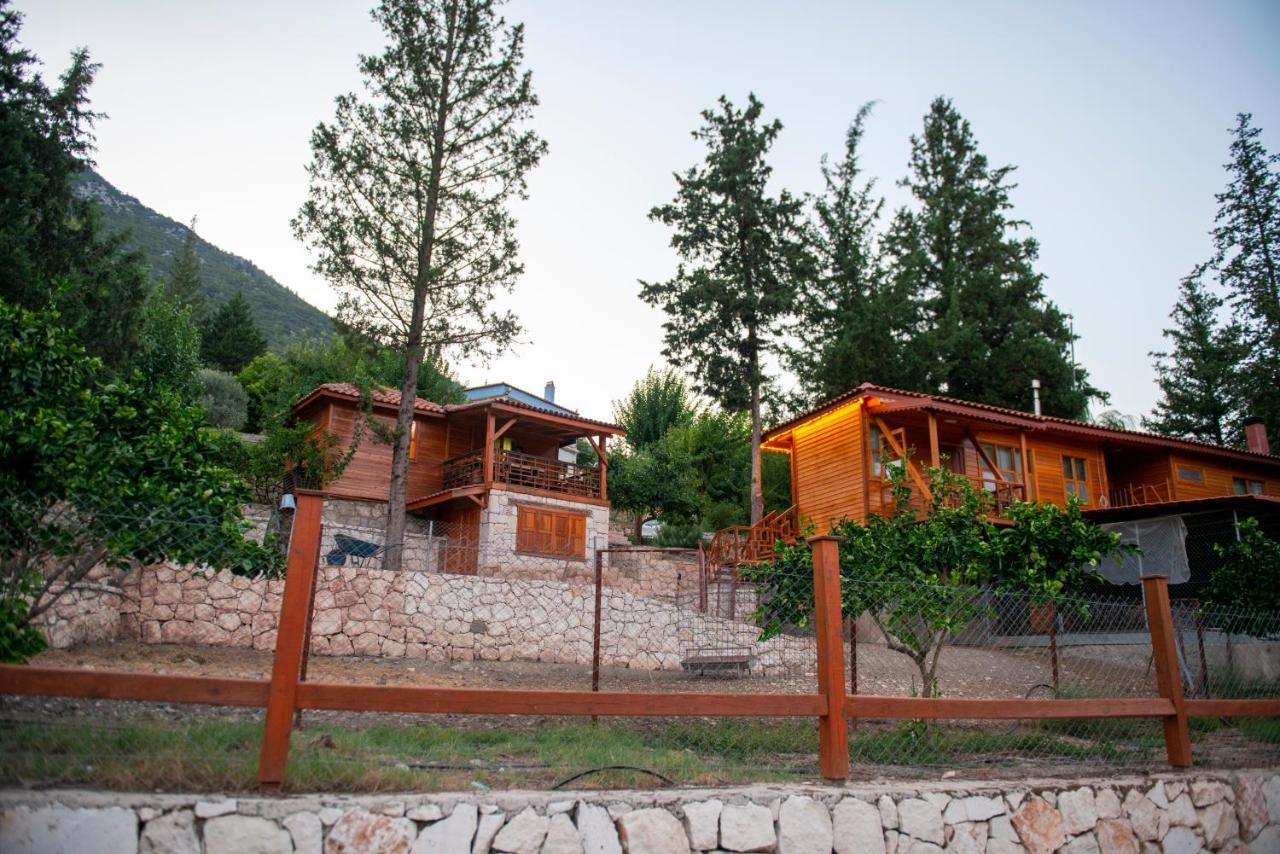 Trinitys Forest Bungalows in Mountain 4*