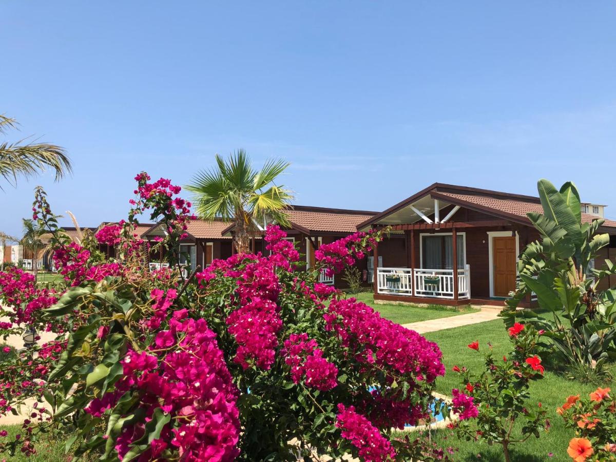 Sedir Park Bungalow Hotel 4*